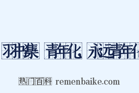 羽书集·青年化，永远青年化是什么意思的图片